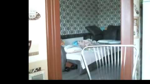 Snapshot of lady_cute_cat chatting on 06/23/26, 02:53 lady cute cat29 online show from 06/23/26, 02:53