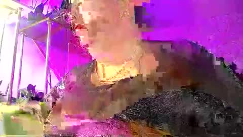 Lady Gloria online show from 01/08/26, 05:43