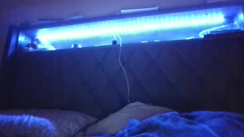 Stephanie online show from 02/24/25, 05:11