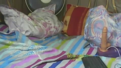 LadyXSnakes online show from 02/01/25, 07:47