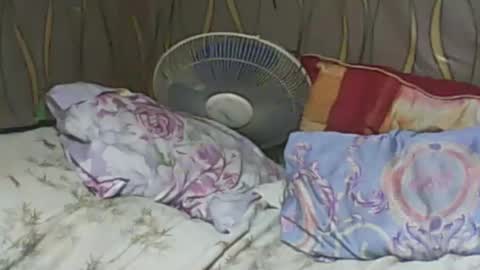 LadyXSnakes online show from 02/07/25, 06:24