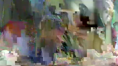 LadyXSnakes online show from 02/23/25, 03:51