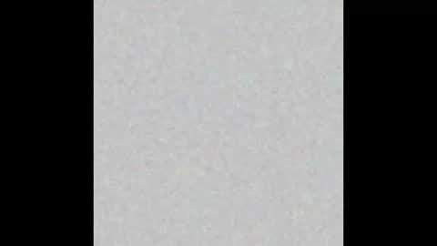  paola and a guest lol    online show from 11/12/25, 10:04