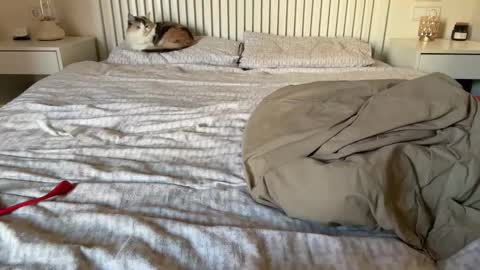 Lana online show from 02/05/25, 02:16