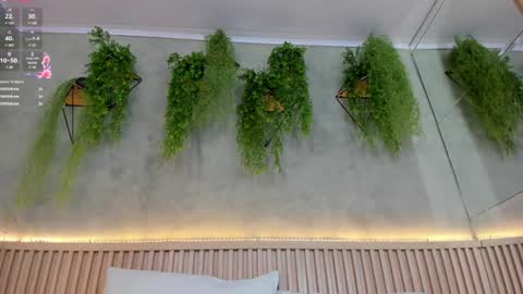 Snapshot of lana_lann chatting on 02/02/25, 05:59 lana_lann online show from 02/02/25, 05:59