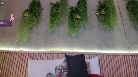 Snapshot of lana_lann chatting on 02/14/25, 02:54 lana_lann online show from 02/14/25, 02:54