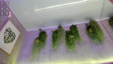 Snapshot of lana_lann chatting on 02/27/25, 01:38 lana_lann online show from 02/27/25, 01:38