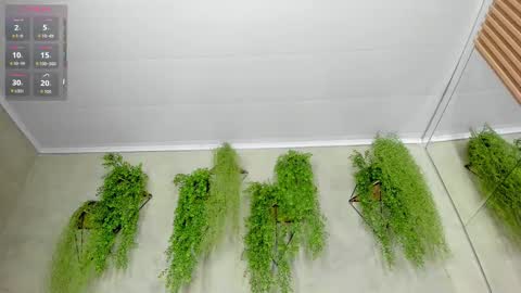 Snapshot of lana_lann chatting on 09/28/25, 11:48 lana_lann online show from 09/28/25, 11:48