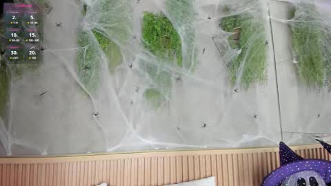 Snapshot of lana_lann chatting on 10/27/25, 11:47 lana_lann online show from 10/27/25, 11:47