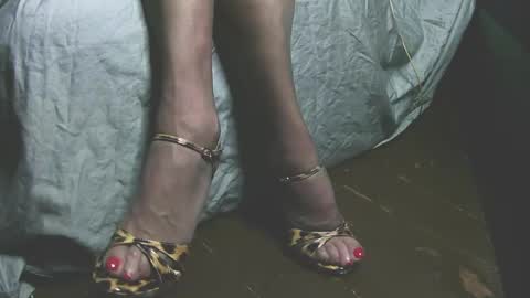 lana_legs53 online show from 05/31/26, 05:59