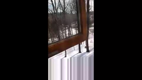 langederek2 online show from 03/19/26, 03:27