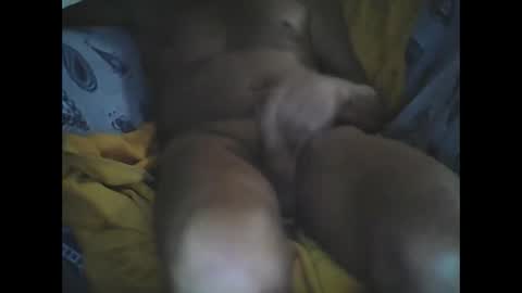 Larop49 online show from 10/06/25, 05:16