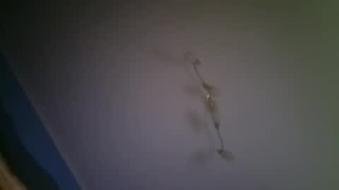 Snapshot of larry009 chatting on 12/15/25, 03:00 larry009 online show from 12/15/25, 03:00