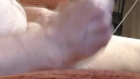 laststeven online show from 12/17/24, 12:01