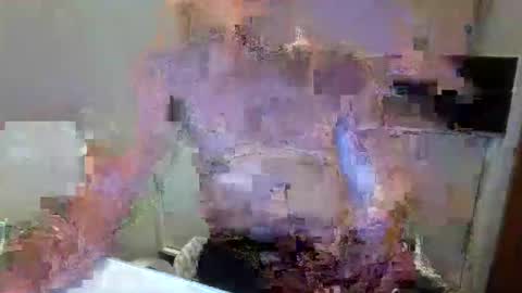 latinobra online show from 10/07/25, 01:58