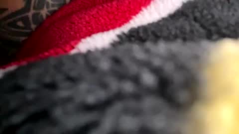 Snapshot of latn_73 chatting on 11/16/25, 08:58 Mexakin online show from 11/16/25, 08:58