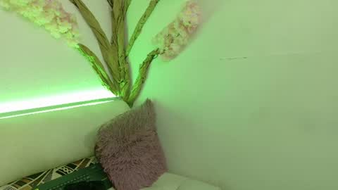     online show from 06/11/26, 12:14