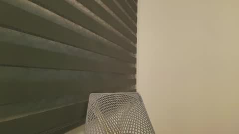 Snapshot of lauri_fit chatting on 03/12/25, 02:09 Lauri online show from 03/12/25, 02:09