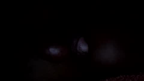 lawrencegreg106 online show from 04/03/26, 08:56