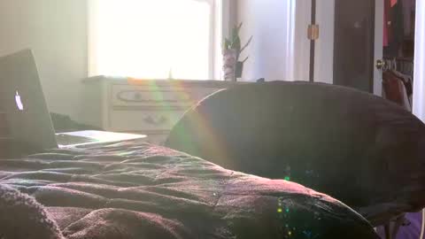 Snapshot of laycee69 chatting on 12/20/25, 08:38 Laycee Layne online show from 12/20/25, 08:38