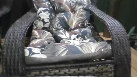 kelly online show from 12/21/25, 01:13