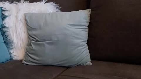 lazlow2000 online show from 01/07/26, 07:44