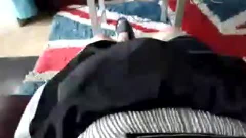 leatherpants68 online show from 07/17/26, 09:05