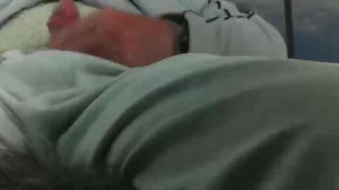 Snapshot of leckfreund53 chatting on 10/03/25, 07:38 leckfreund53 online show from 10/03/25, 07:38