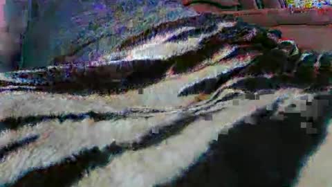 ledmax07 online show from 04/13/26, 01:22