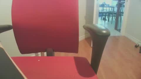 Snapshot of ledoc_ chatting on 09/11/25, 11:16 LeDoc online show from 09/11/25, 11:16