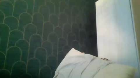 Snapshot of leeuwarder12 chatting on 11/20/25, 07:35 leeuwarder12 online show from 11/20/25, 07:35