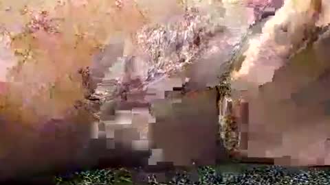 legofactory online show from 01/27/25, 04:52