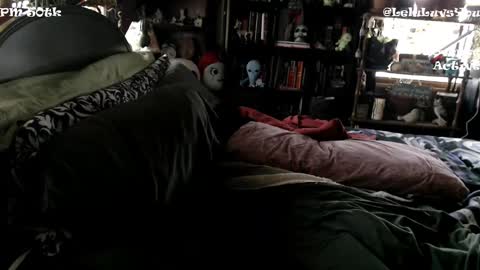 Lelu Fallas online show from 01/05/25, 04:38