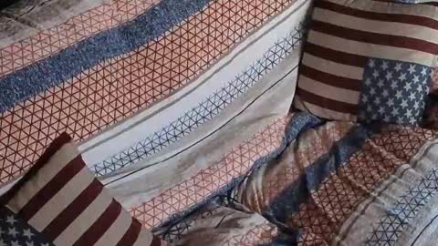 Segaiolo..... online show from 04/30/26, 06:53