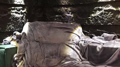 Leo  Diaz online show from 11/30/25, 03:54