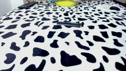 Leo online show from 01/27/25, 05:15