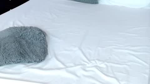 LUCY online show from 02/19/25, 11:04