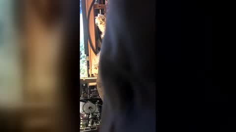 Snapshot of leongent chatting on 02/27/26, 08:42 Leon online show from 02/27/26, 08:42