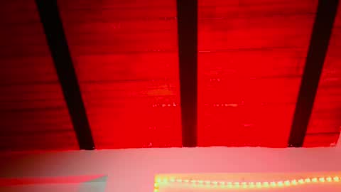 Lenardo jaramillo online show from 12/12/24, 10:24