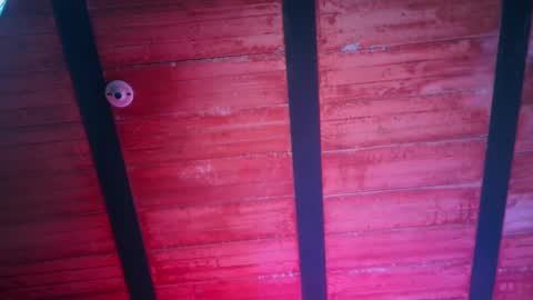 Lenardo jaramillo online show from 12/13/24, 01:01