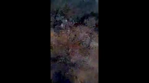 lestercameran80 online show from 06/09/26, 10:16