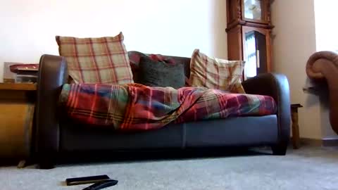 paul online show from 02/09/26, 09:02