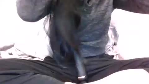 lets_play143 online show from 02/16/26, 07:04