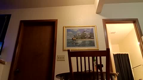 letsplay361 online show from 03/04/25, 02:27