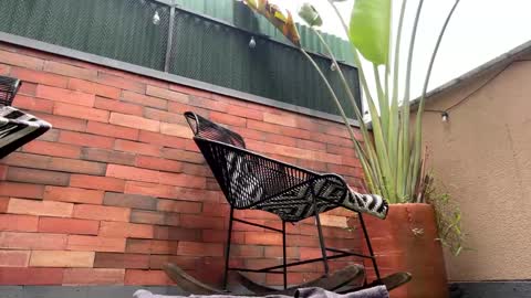 follow me  here you find me online show from 03/21/26, 04:10