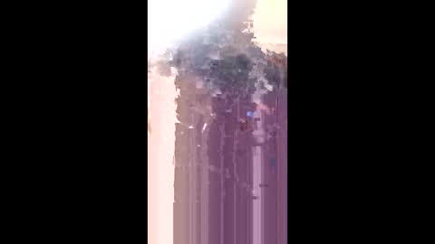 levis501bandant online show from 01/17/26, 02:27