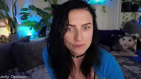 Snapshot of levity_opossum chatting on 11/11/25, 11:05 Levity online show from 11/11/25, 11:05