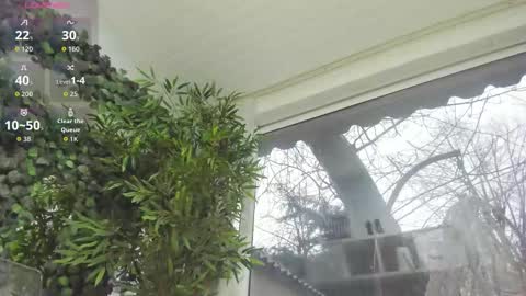 lexi_storm online show from 01/08/26, 08:16