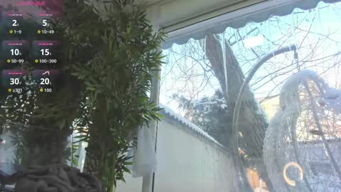 lexi_storm online show from 01/12/26, 07:46