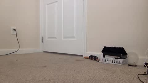 Alexia L. online show from 02/24/26, 04:38